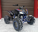 Квадроцикл PROMAX RAPTOR 300 NEW RedBull в Невинномысске