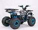 Квадроцикл YACOTA SIRIUS 110 в Невинномысске