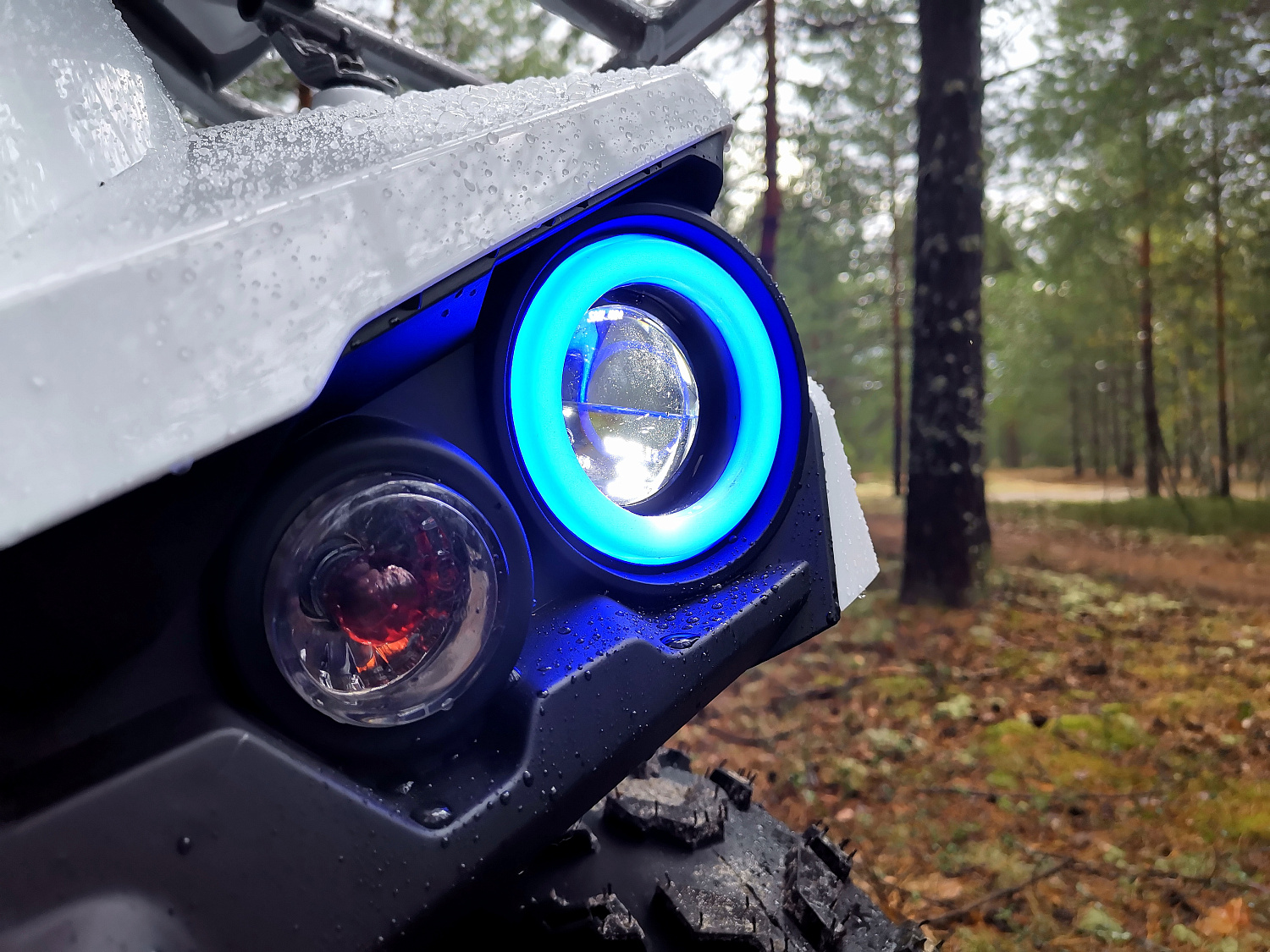 Квадроцикл PROMAX RENEGADE 280 (2025) в Невинномысске