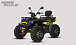 Квадроцикл PROMAX TAURUS 300 MAX-PRO LONG в Невинномысске